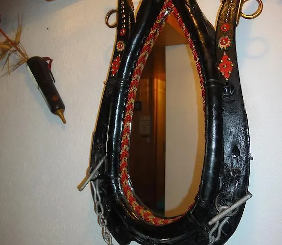 호스텔 레만스 헤르베르게 *