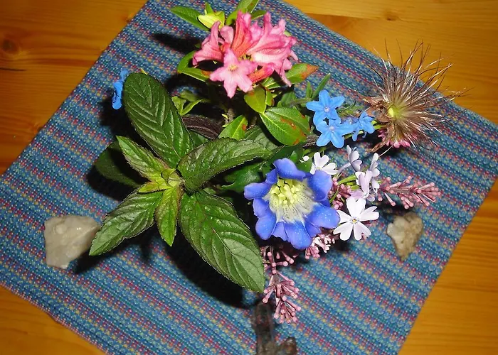 레만스 헤르베르게