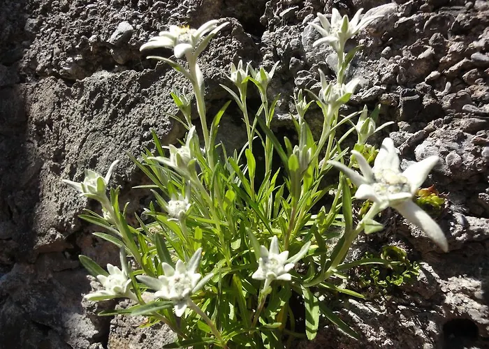 호스텔 레만스 헤르베르게