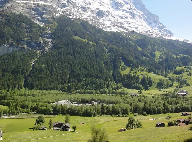 레만스 헤르베르게 *