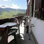 旅馆 莱曼赫尔博尔格旅舍 *